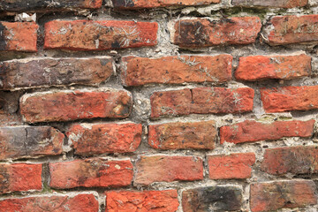 レンガ壁