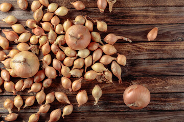 Onion on a old wooden table.