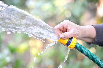 watering