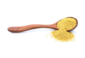 sorghum isolated on white background