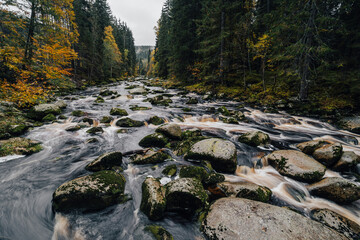 Autumn view of a river in Alaska like forest. Wild creek or river in the middle of autumn forest....