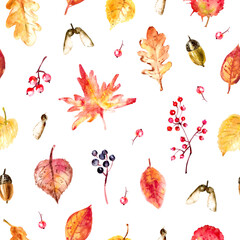 Watercolor seamless pattern with hand drawn autumn nature leaves, acorns, berries