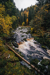 Autumn view of a river in Alaska like forest. Wild creek or river in the middle of autumn forest. Mountain stream with cascades and waterfalls. Deep mountian woods. Sumava national park, Vydra river.