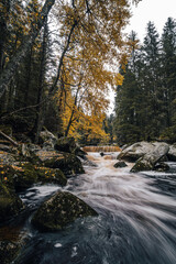 Autumn view of a river in Alaska like forest. Wild creek or river in the middle of autumn forest. Mountain stream with cascades and waterfalls. Deep mountian woods. Sumava national park, Vydra river.
