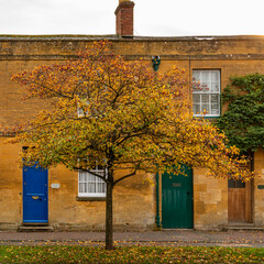 Autumn tree outside Cotswold houses, Moreton in Marsh UK
