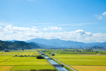 豊岡市の田園風景