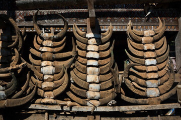 Some buffalo horns hung in a vertical array at the entrance of a tongkonan, Torajan traditional ancestral house, in Paku, Sulawesi, Indonesia - obrazy, fototapety, plakaty