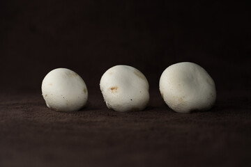Three mushrooms. Close up view. Dark background.