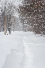 Snow trail in the forest. Heavy snowfall.