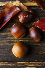 どんぐりと落ち葉