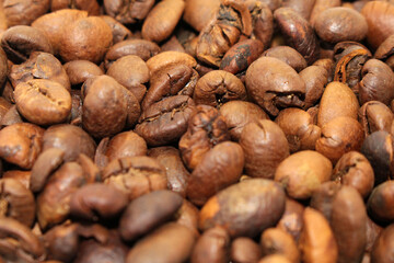 Indonesian roasted coffee beans, your source for a cup of coffee