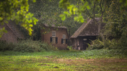 old house in the woods