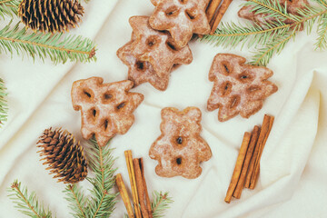 Ginger cookies, some spices and fir tree branch on the tablecloth.