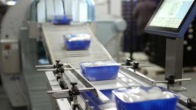 Packaging and packaging of mushrooms in production. White champignon mushrooms are packed in plastic wrap. Automated conveyor belt behind the factory. Mushroom farm.