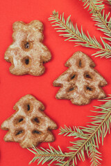 Ginger cookies and fir tree branch on a red background.