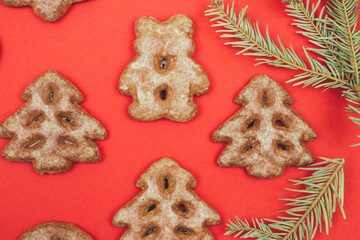 Ginger cookies and fir tree branch on a red background.