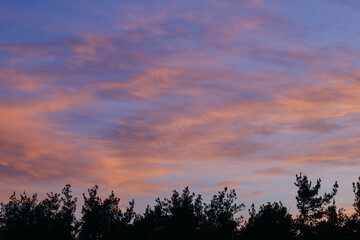 Early sunrise over the forest with orange and pink clouds.