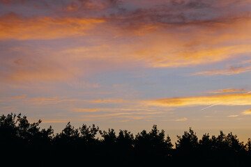 Breathtaking early sunrise over the forest with orange, goldlike and pink clouds.
