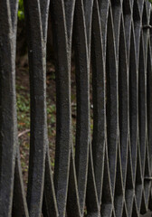 Natural background. Texture of metal fence.