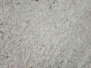 Traces of water on the ground