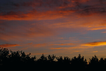 Obraz premium Breathtaking early sunrise over the forest with orange, goldlike and pink clouds.