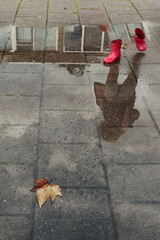 autumn season
