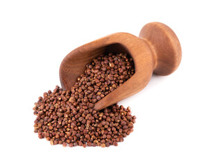 Guinea pepper grains in wooden scoop, isolated on white background. Melegeta, alligator pepper or mahlab. Grains of paradise.