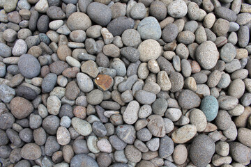 Pebbles, rocks, and stones as natural decoration in the garden