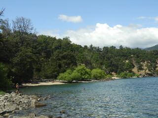 playa detras del bosque