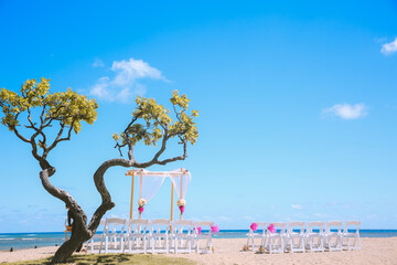 wedding at Waialae Beach Park, Kahala, Honolulu,Oahu, Hawaii