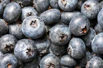 Blueberries as a background