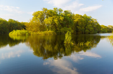 spring landscape on lake