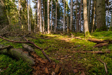 Fantastic hike in the Schrecksee nature reserve in Upper Swabia