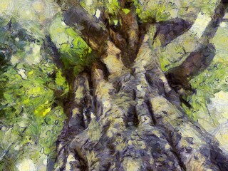 Big tree trunk Illustrations creates an impressionist style of painting.