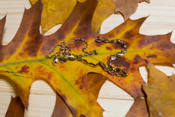 Naklejka na ściany i meble Gold jewelry bracelets lie on an oak autumn leaf.