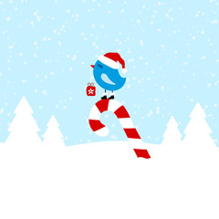 Blauer Vogel Auf Zuckerstange Schnee Wald Hellblau