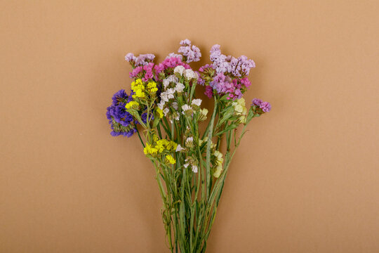 Colorful statice flowers on the beige background. Limonium sinuatum flowers. Beautiful colorful fresh statice flower bouquet. Copy space. Top view.