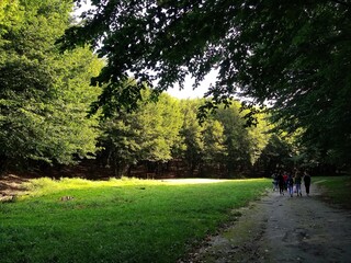 path in the park