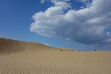 Fototapeta na wymiar 青空に映える砂丘