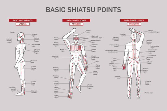 Basic Shiatsu Points in a male figure. Anterior, posterior and lateral view.