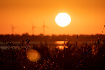 Sea coast in sunrise orange sky and big rising sun