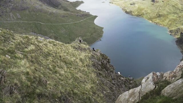 Mountain goats on a steep cliff overlooking a lake in Snowdonia