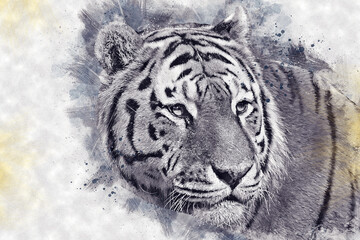 Tiger Grunge
