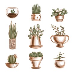 set of graphic plants. Digital illustration, art, cartoon, details 