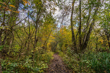 Obraz premium Fantastic hike in the Schrecksee nature reserve in Upper Swabia