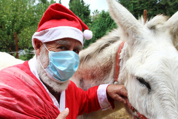 Santa Claus, mask and donkey