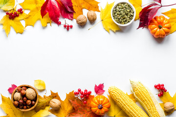Autumn background with pumpkins, leaves and corn, top view