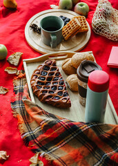 Autumn mood. A warm colorful scarf, a Cup of hot coffee, a book on the grass in the autumn Park. Seasonal photos.