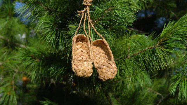 Antique handmade rustic shoes - bast shoes. A pair of bast shoes hanging on a branch of cedar or pine.