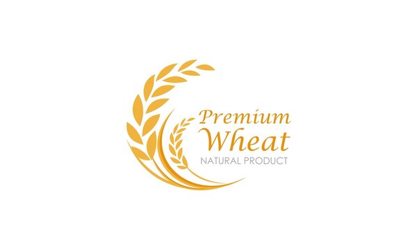 Paddy wheat, rice organic grain products food banner logo